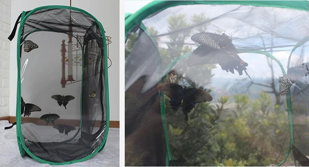 1 Pc Insect Cage Breeding Cages Insect Box Net Cloth Praying Mantis Stick Butterfly Breeding Enclosure Safety Housing 2 Sizes