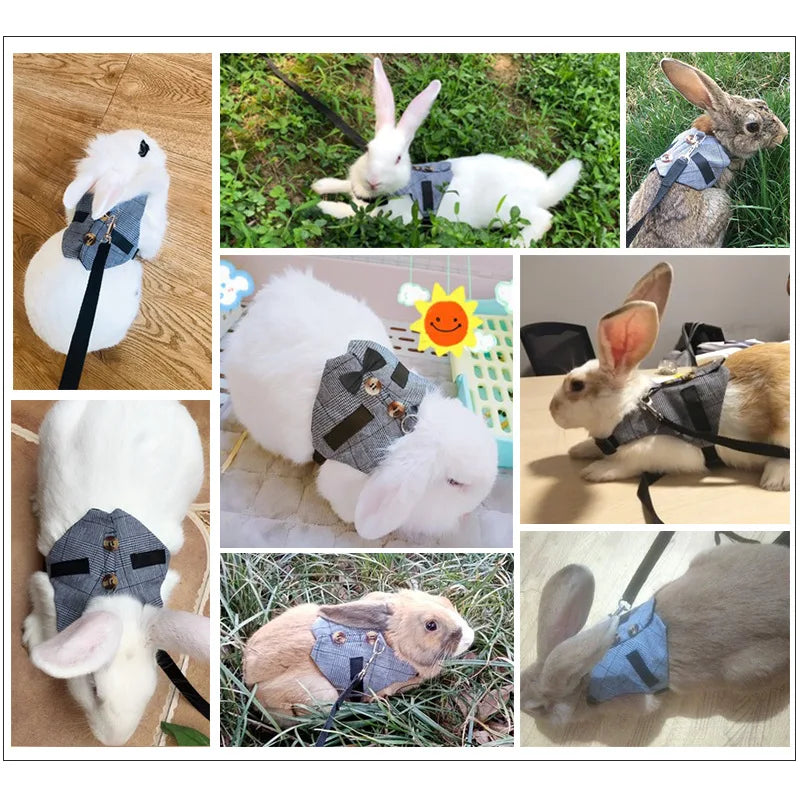 Cute Rabbit Harness and Leash Set Outdoor Walking Pet Harnesses for Small Animals Rabbits Teacup Dogs Clothes Cute Harness