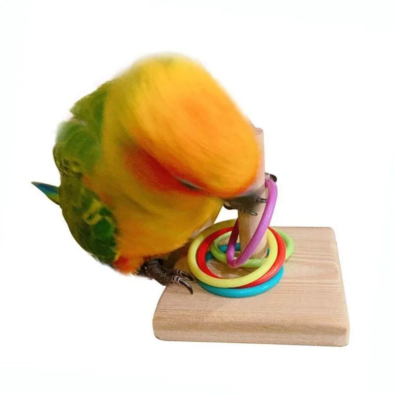 Bird Training Ring Toy Parrot Educational Toys Training Interactive Bird Supplies Bird Toys Random Color parrot toys