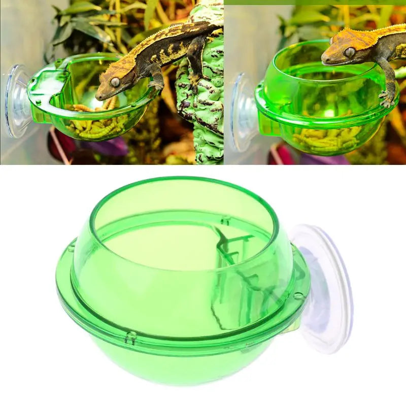 Turtle Reptile Food Bowl, Anti-Escape Cup, Lizard Worm, Live Food Container, Pet