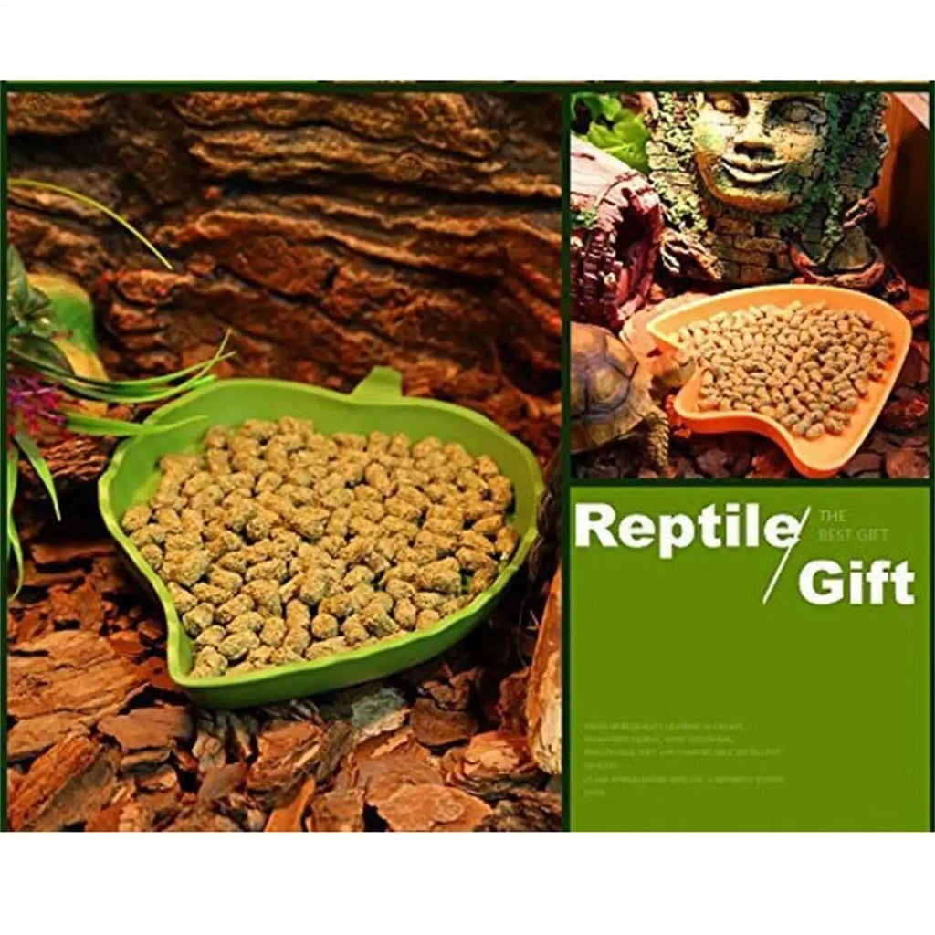 Flacher Reptilienfutter- und Wassernapf, Schildkrötenschale zum Füttern und Trinken, kleines Haustierzubehör für Schildkröten, Eidechsen, Hamster, Schlangen