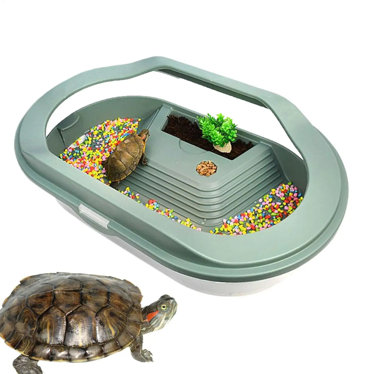 Turtle Habitat Turtle Cage Bottom Drainage Basking Stage Clear Lid Area Habitat Breeding Box for Hermit Gecko Hermit Crab Small