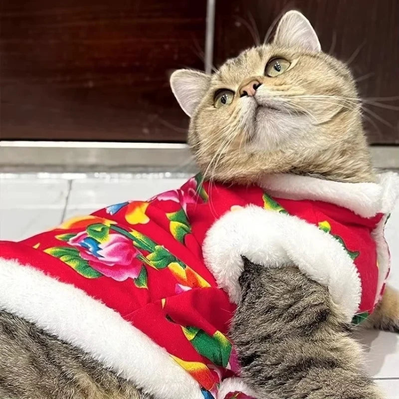 Katzenkleidung Fleecegefüttert Warm Dick Baumwolle Gepolsterter Mantel Herbst- und Winterstil Ragdoll Blaue Katze Kätzchen Haustierkleidung