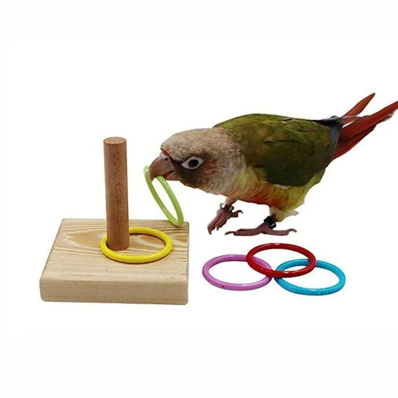 Bird Training Ring Toy Parrot Educational Toys Training Interactive Bird Supplies Bird Toys Random Color parrot toys