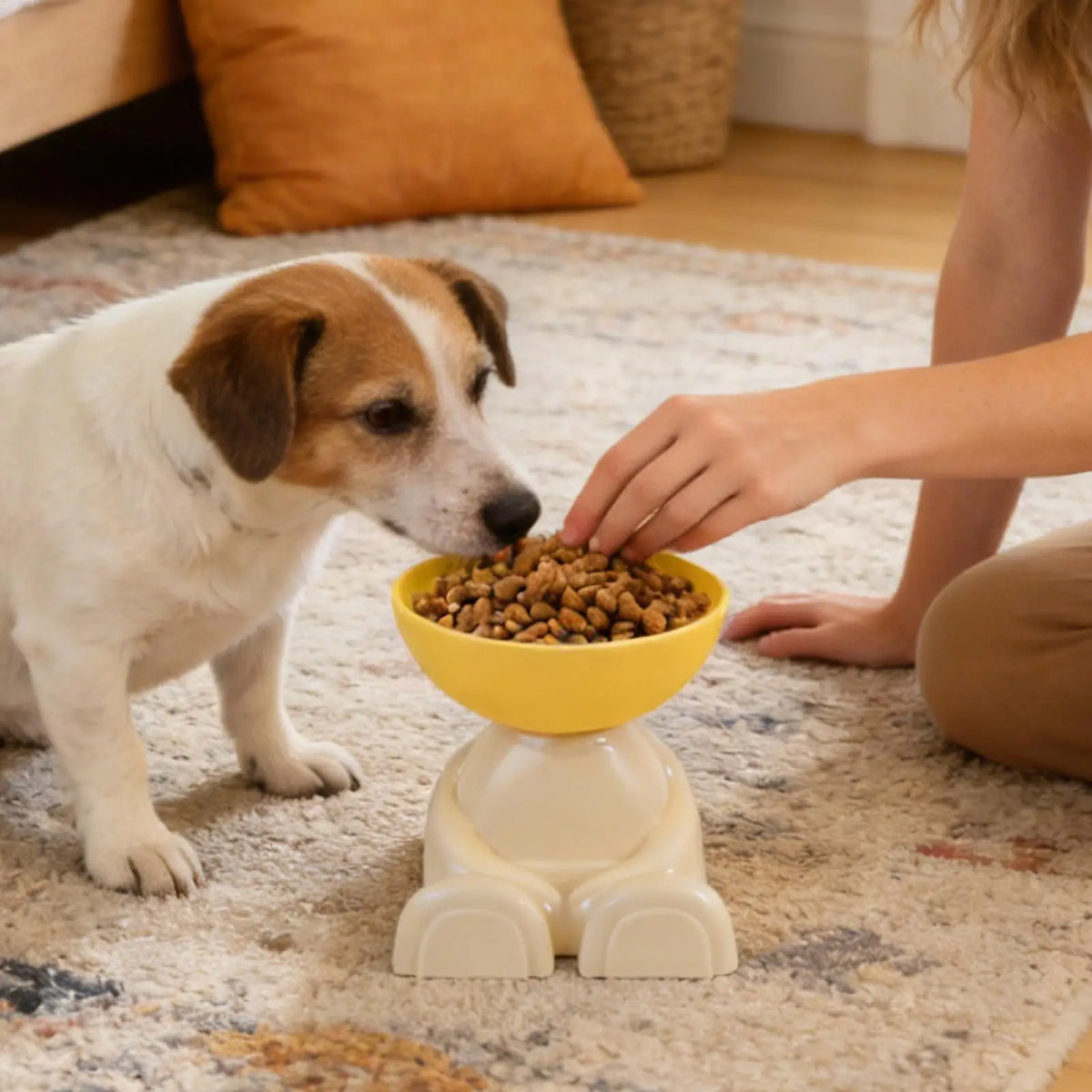 Cat Feeding Bowls Dog Food Bowl Raised Food Feeding Dish for Pet Non-Slip Pet Feeder for Kitchen Vacation Apartment Indoor