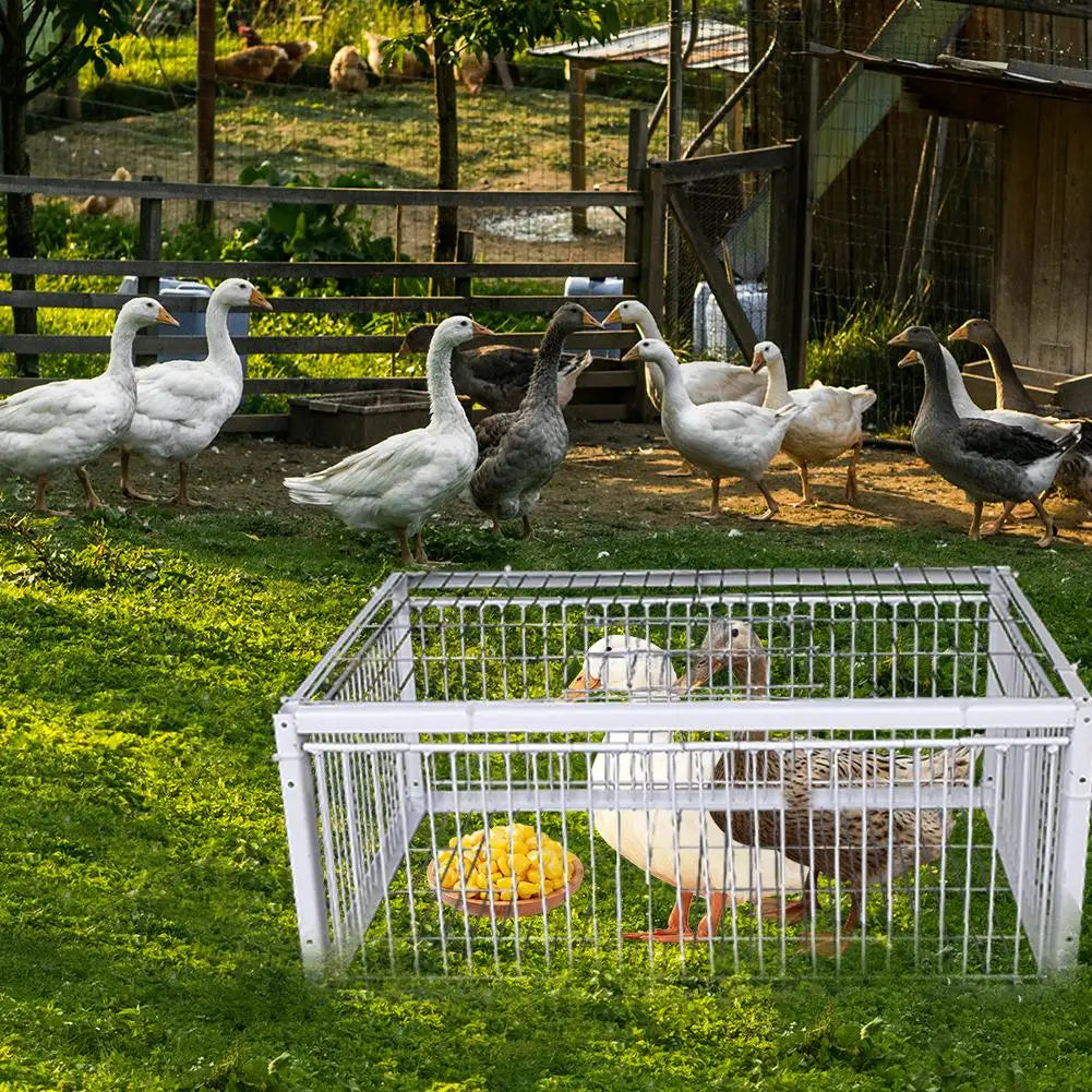 Automatische Falle Vogelkäfig Hasenkäfig Mauskäfig Nur Eingang Kein Ausgang Verdickter verschlüsselter automatischer Taubensammler Taubenkäfig