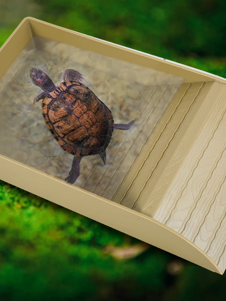 Plastic Tortoise Food Dish turtle tank Water Food Feeder Trays with Anti-Slip Ramp Tortoise Habitat Reptile accessories