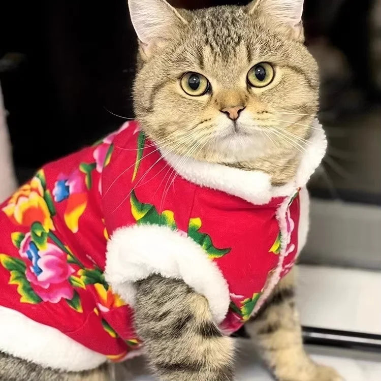 Katzenkleidung Fleecegefüttert Warm Dick Baumwolle Gepolsterter Mantel Herbst- und Winterstil Ragdoll Blaue Katze Kätzchen Haustierkleidung
