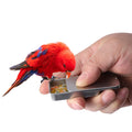Bird Training Food Jar Parrot Hand-held Feeder Bird IQ Growth Training Tool Interactive Toys Mini Iron Tank for Bird Feeding 1Pc