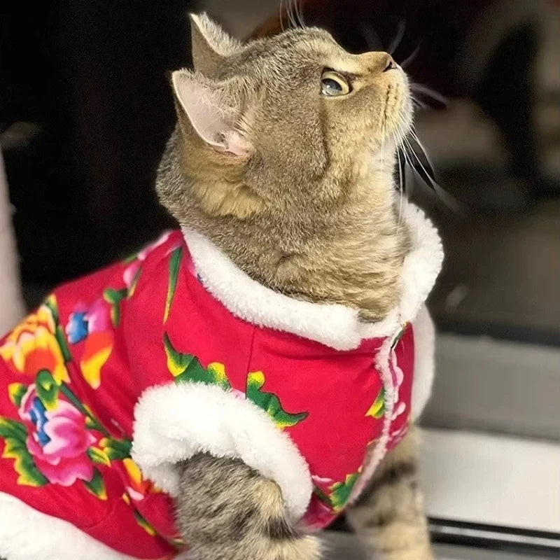 Katzenkleidung Fleecegefüttert Warm Dick Baumwolle Gepolsterter Mantel Herbst- und Winterstil Ragdoll Blaue Katze Kätzchen Haustierkleidung