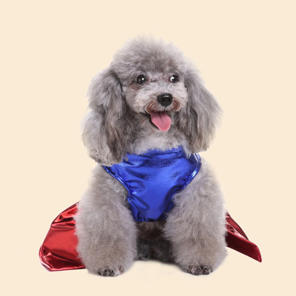 Halloween-Outfits Haustier-Verkleidung Cosplay-Kleidung für kleine und mittelgroße Hunde
