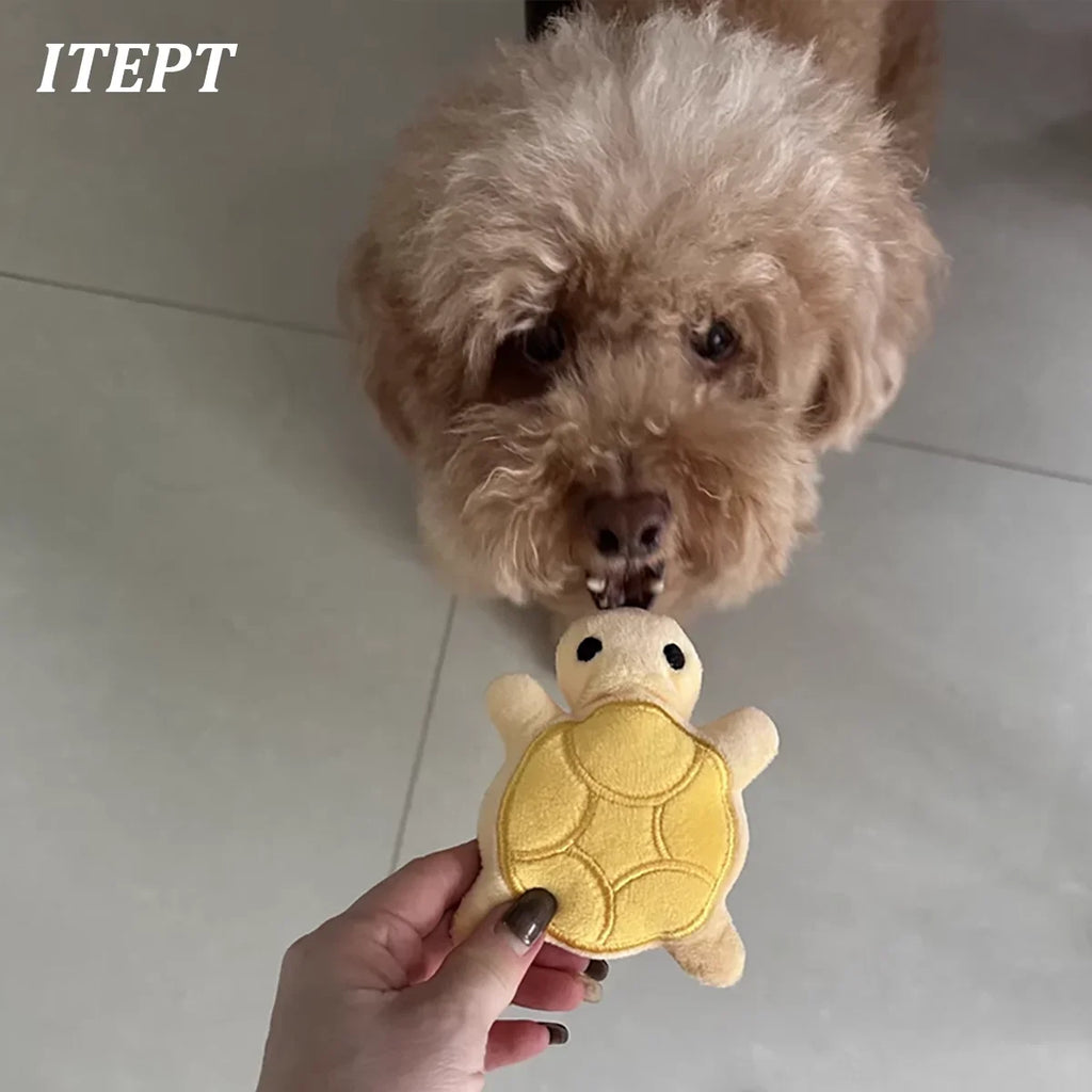 Hundespielzeug Mini-Schildkröte Plüsch-Kauspielzeug für Welpen Zahnungshilfe Interaktives, bissfestes Hundespielzeug Zahngesundheit Sicheres Spiel