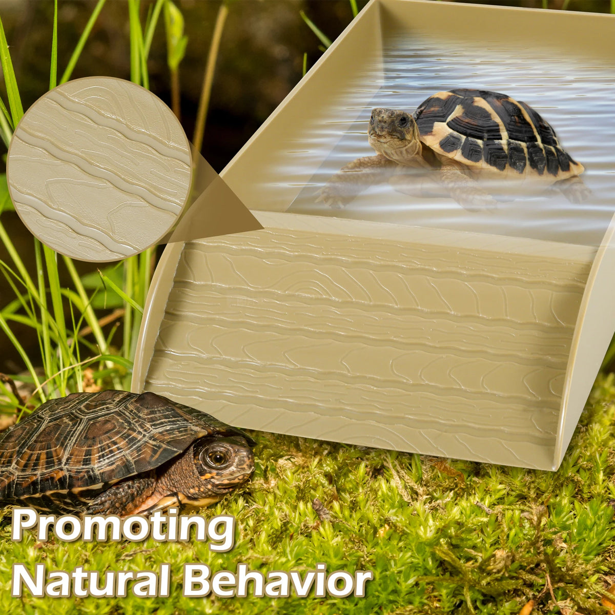 Plastic Tortoise Food Dish turtle tank Water Food Feeder Trays with Anti-Slip Ramp Tortoise Habitat  Reptile accessories
