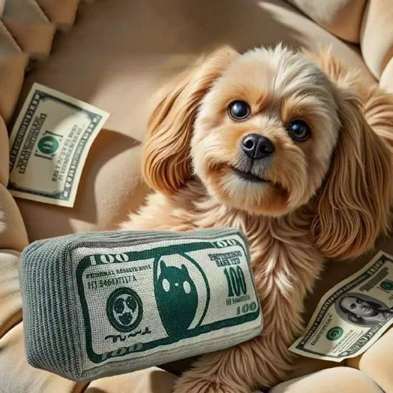 Dog Toy Money Shape Bite Resistant Indestructible Squeaky Toy Sound Interactive Self-Play for Dog Puppy Cat Pet Training Supplies