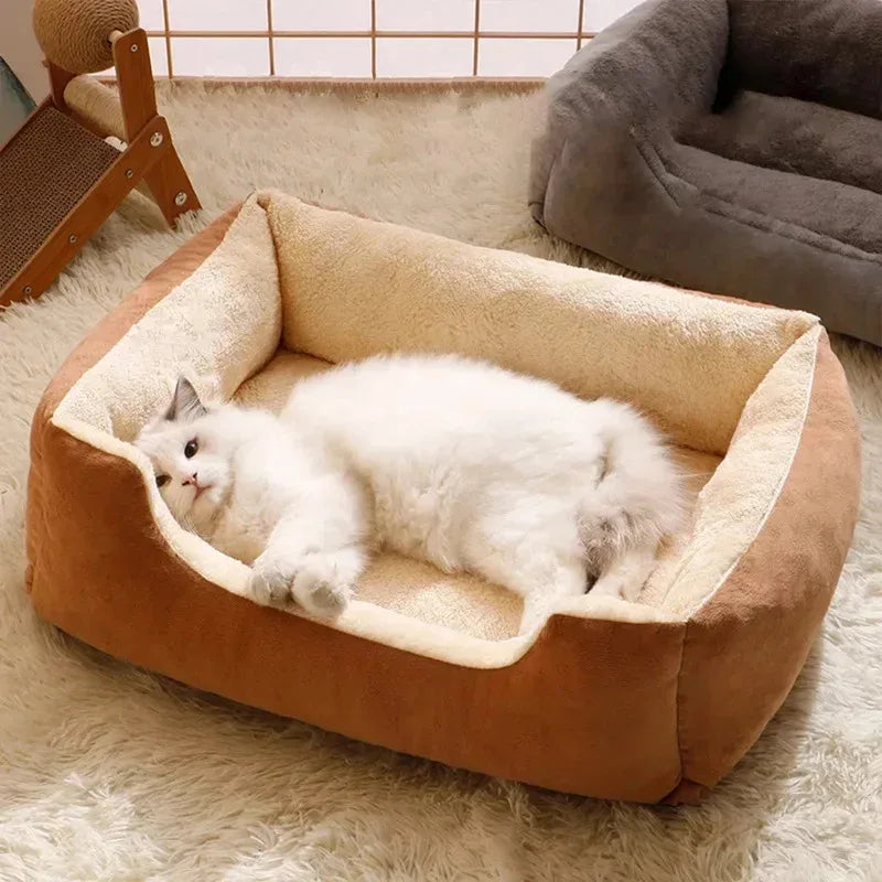 Katzenbett Haustierprodukte Kissen Kätzchenartikel Zubehör Hund Alle Häuser Zubehör Dinge Zubehör Lebensräume Korb Haus Betten