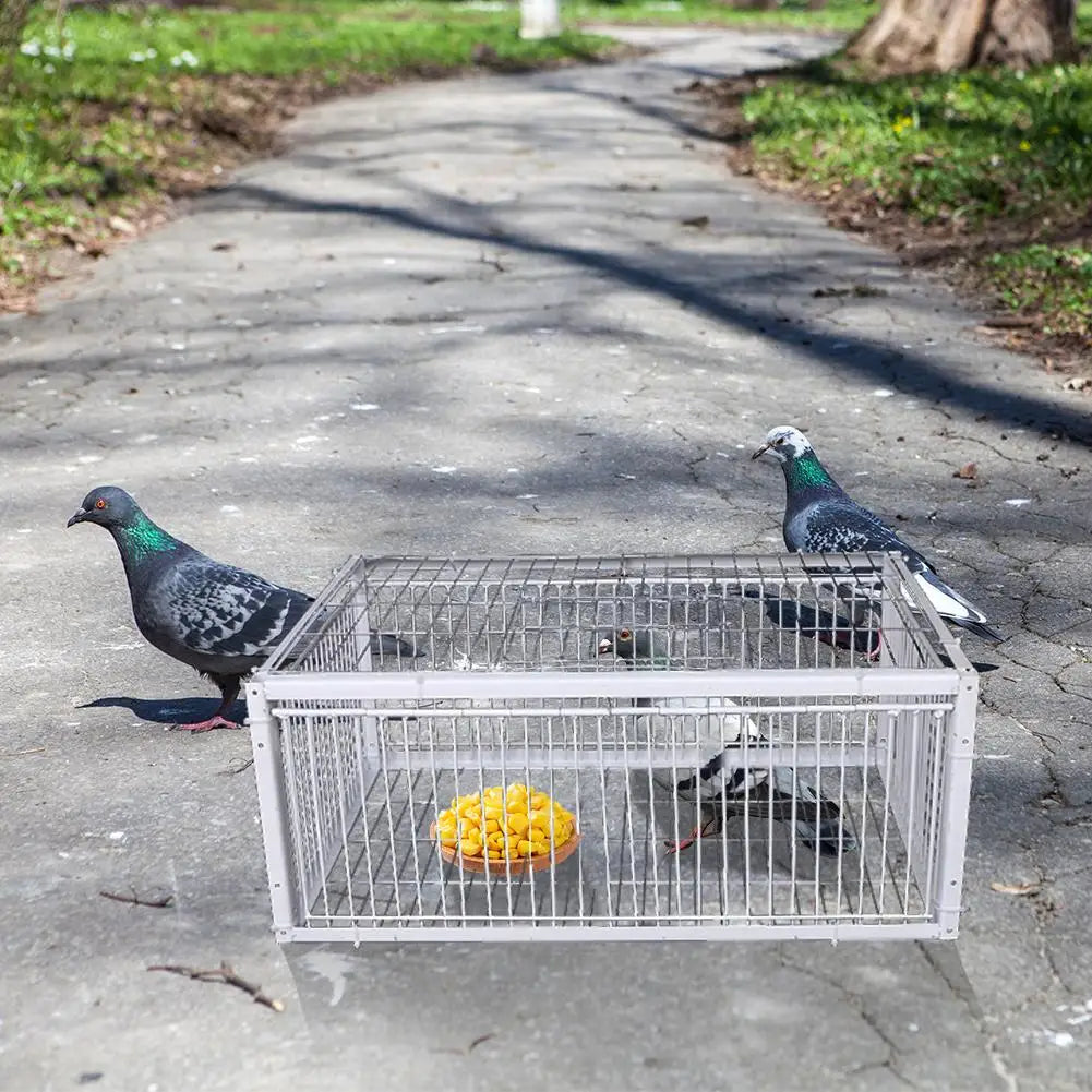 Armadilha Automática para Pombos e Pássaros
