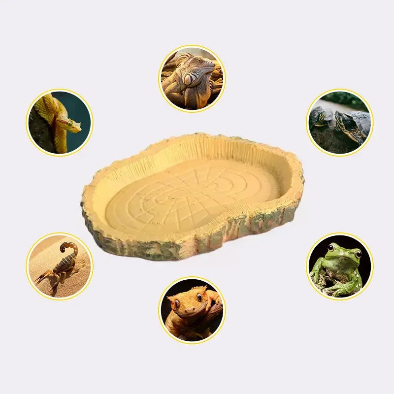 Crawling Pet Food Bowl, Turtle Pet Food Tray, Resin Material, Suitable for All Kinds of Crawling Pets