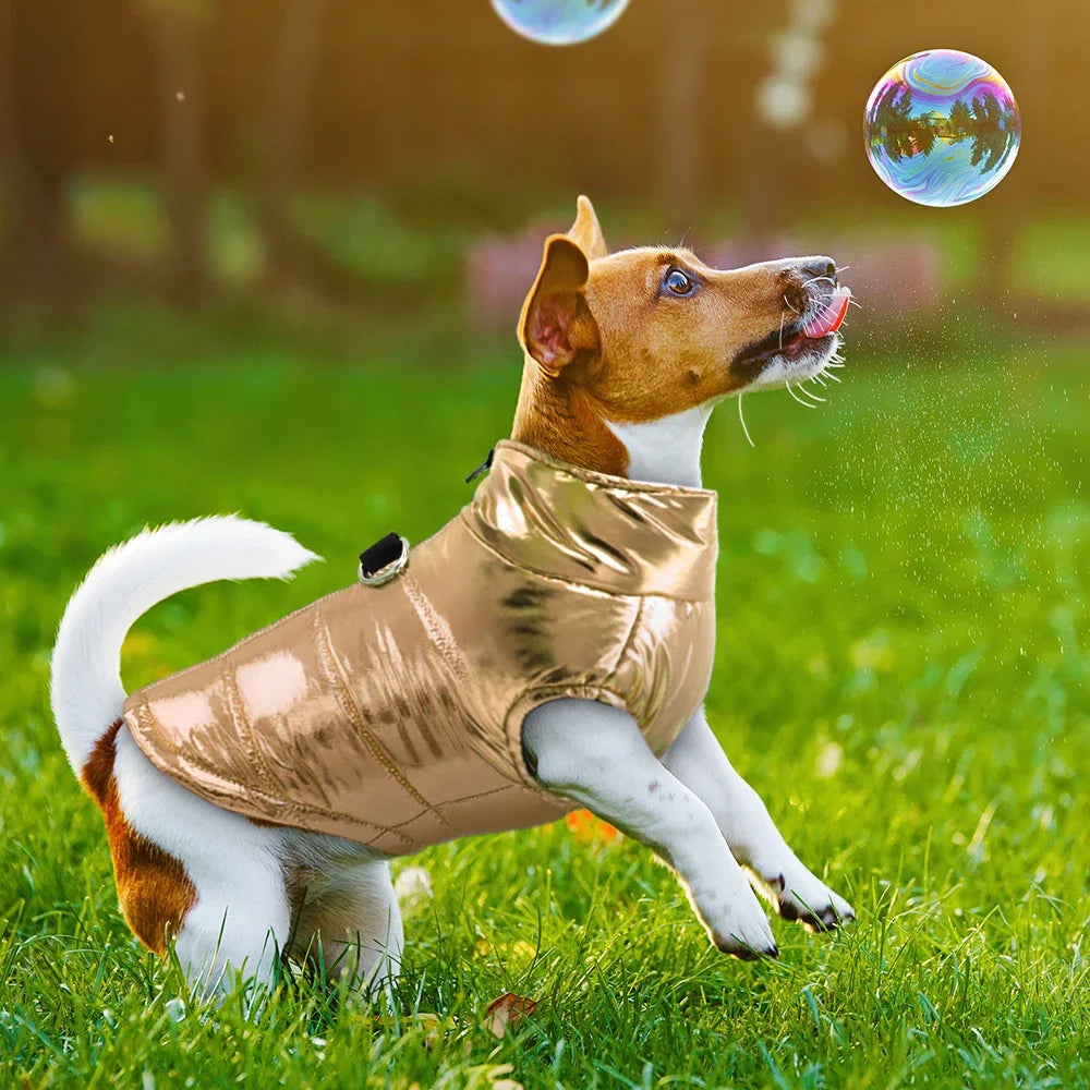 Kleidung für kleine Hunde, wasserdichte Hundekleidung, Welpenjacke, Winterwarme Weste, Hundemantel, Kleidung für Chihuahua, französische Bulldogge