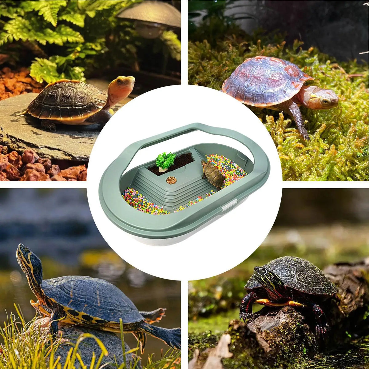 Turtle Habitat Turtle Cage Bottom Drainage Basking Stage Clear Lid Area Habitat Breeding Box for Hermit Gecko Hermit Crab Small