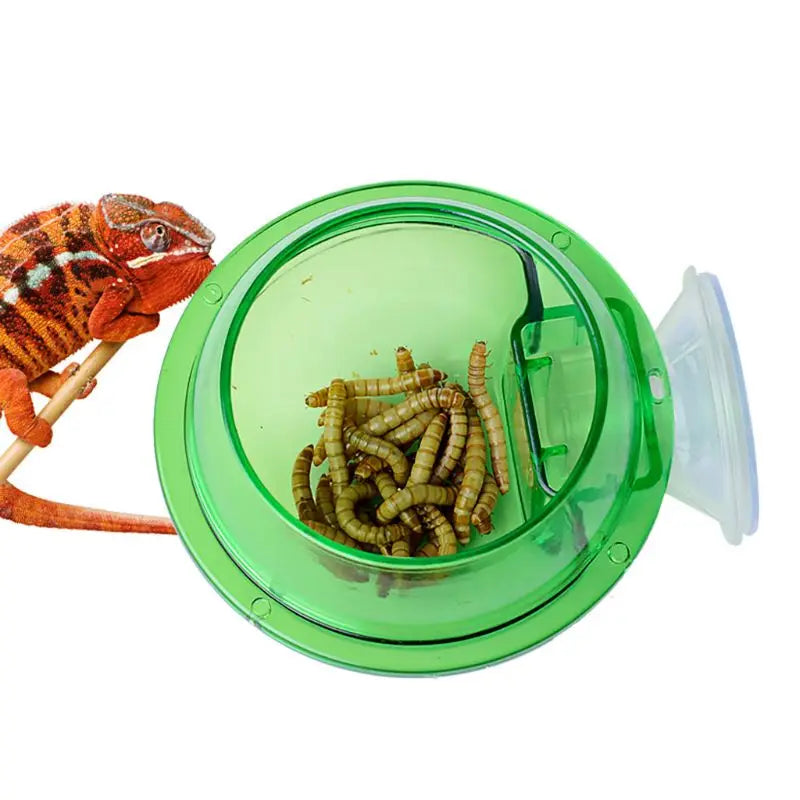 Turtle Reptile Food Bowl, Anti-Escape Cup, Lizard Worm, Live Food Container, Pet