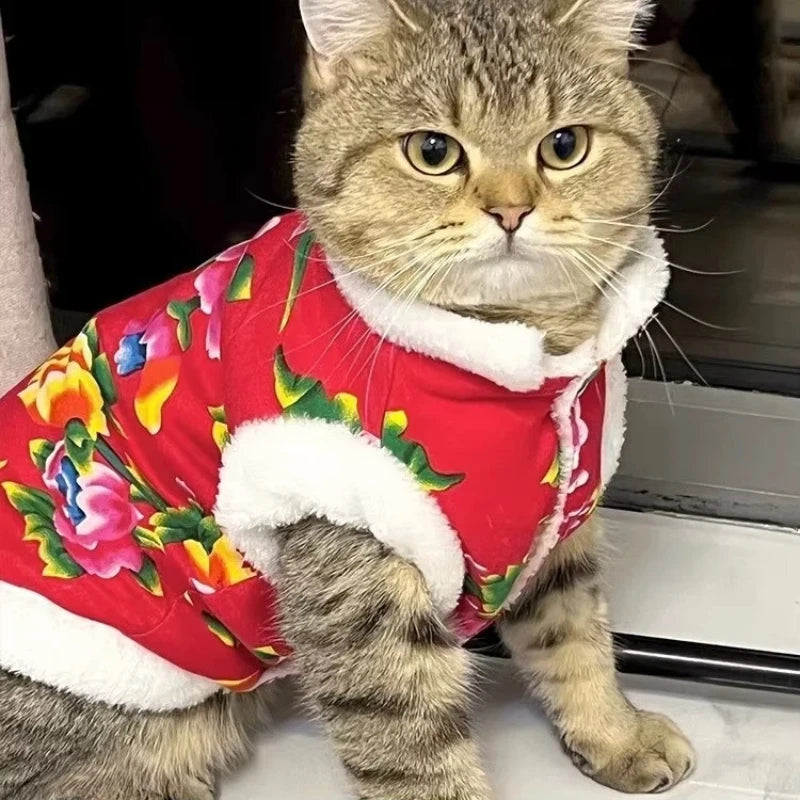 Katzenkleidung Fleecegefüttert Warm Dick Baumwolle Gepolsterter Mantel Herbst- und Winterstil Ragdoll Blaue Katze Kätzchen Haustierkleidung