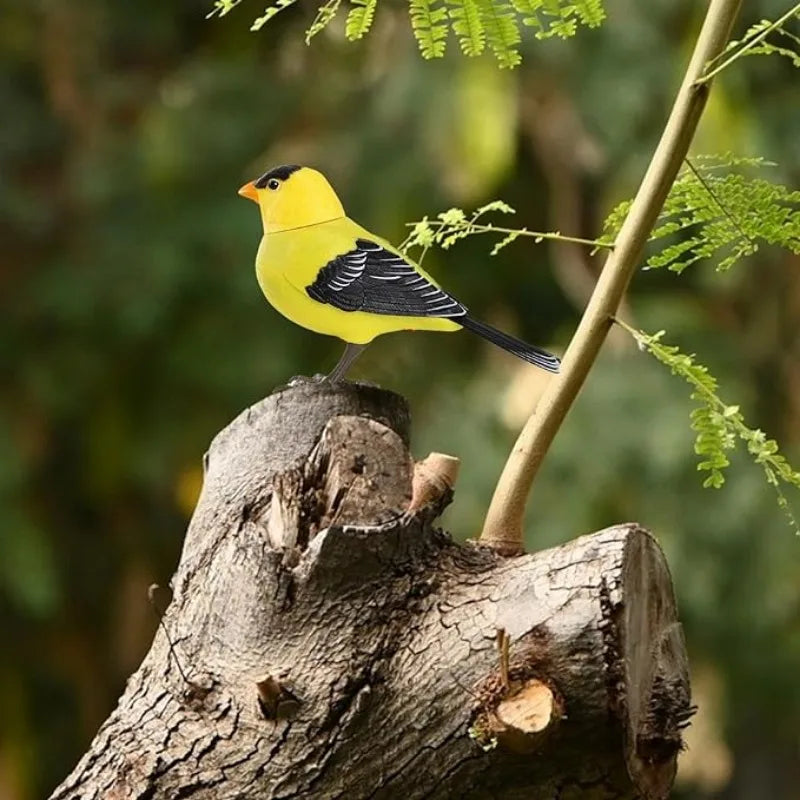 Interactive Singing Bird with Motion and Sound Control