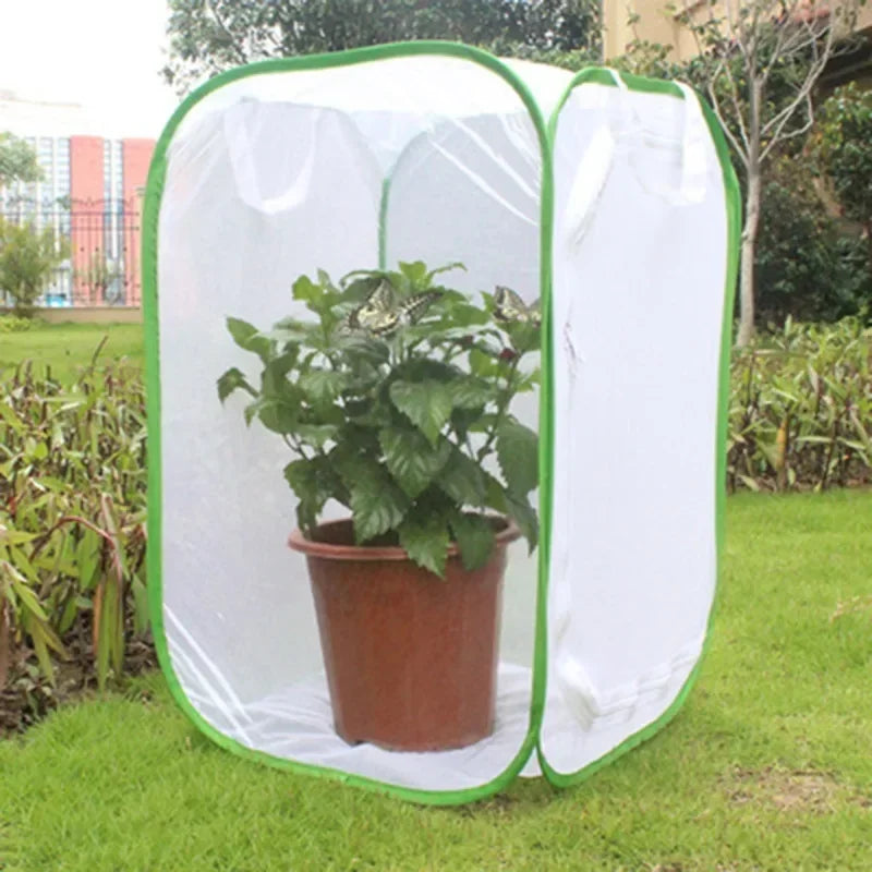 Butterfly Habitat Insect Cage Mesh Butterfly Cages Pop-up Collapsible Insect Mesh Cage Plant Greenhouse Box Plant Net Cloth