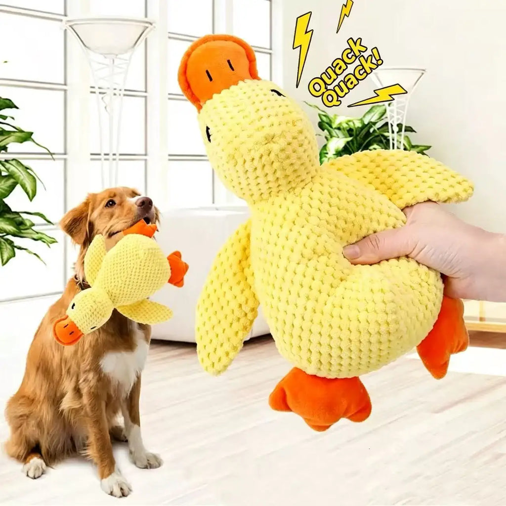 Quietsche-Quietsche-Ente für Hunde 🦆 Robust und lustig