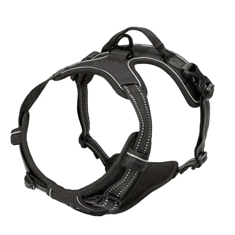 Hundehalsbänder Geschirre Große Westen Leinen Zoohandlung Alles für Hunde Leder Welpenzubehör Mittel Klein Set